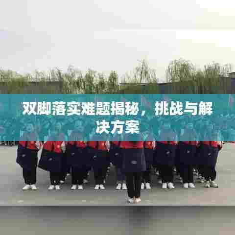 双脚落实难题揭秘，挑战与解决方案