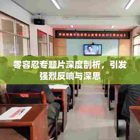 零容忍专题片深度剖析，引发强烈反响与深思