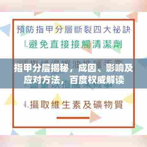 指甲分层揭秘,成因、影响及应对方法,百度权威解读