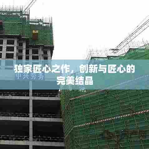 独家匠心之作，创新与匠心的完美结晶