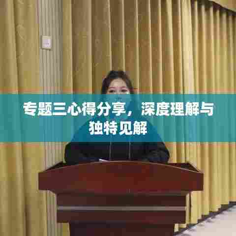 专题三心得分享，深度理解与独特见解