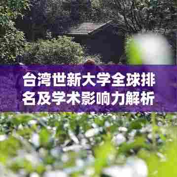 台湾世新大学全球排名及学术影响力解析