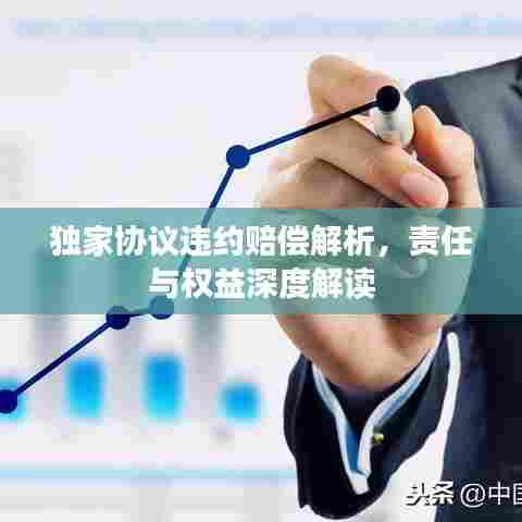 独家协议违约赔偿解析，责任与权益深度解读