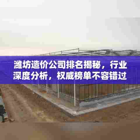 潍坊造价公司排名揭秘,行业深度分析,权威榜单不容错过!