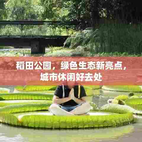 稻田公园，绿色生态新亮点，城市休闲好去处