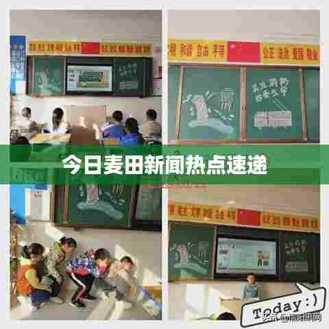 今日麦田新闻热点速递