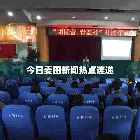 今日麦田新闻热点速递
