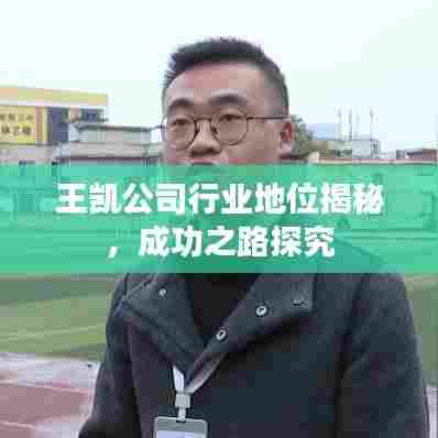 王凯公司行业地位揭秘，成功之路探究