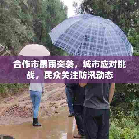 合作市暴雨突袭，城市应对挑战，民众关注防汛动态
