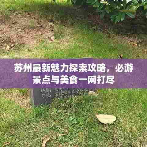 苏州最新魅力探索攻略，必游景点与美食一网打尽
