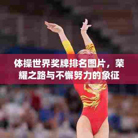 体操世界奖牌排名图片，荣耀之路与不懈努力的象征