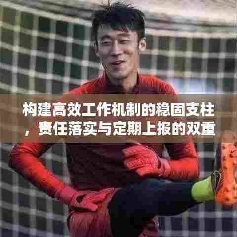 构建高效工作机制的稳固支柱，责任落实与定期上报的双重保障