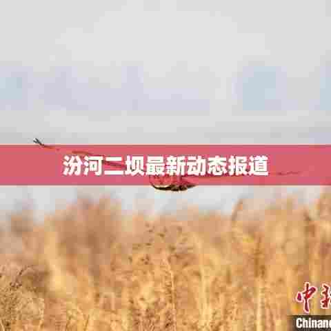 汾河二坝最新动态报道