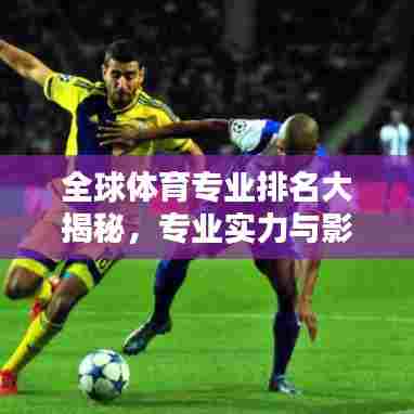 全球体育专业排名大揭秘，专业实力与影响力解析！