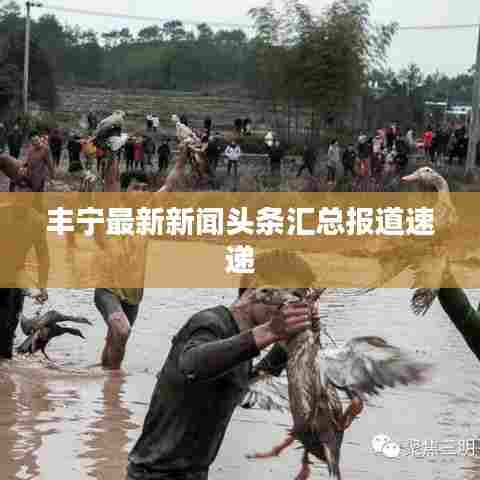 丰宁最新新闻头条汇总报道速递