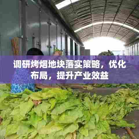 调研烤烟地块落实策略，优化布局，提升产业效益