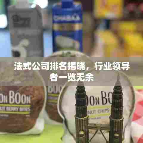 法式公司排名揭晓，行业领导者一览无余