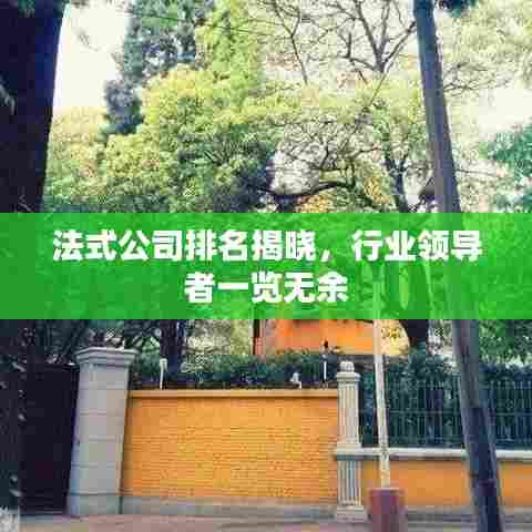法式公司排名揭晓,行业领导者一览无余