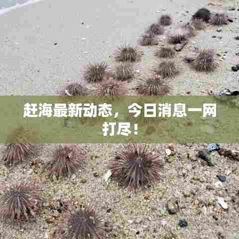 雍容典雅 第7页