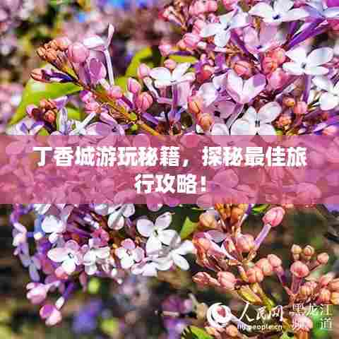 丁香城游玩秘籍，探秘最佳旅行攻略！