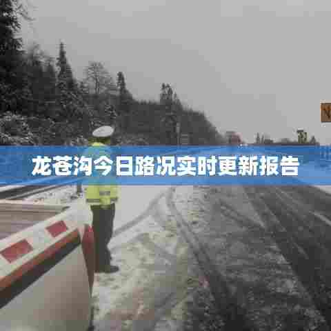 龙苍沟今日路况实时更新报告