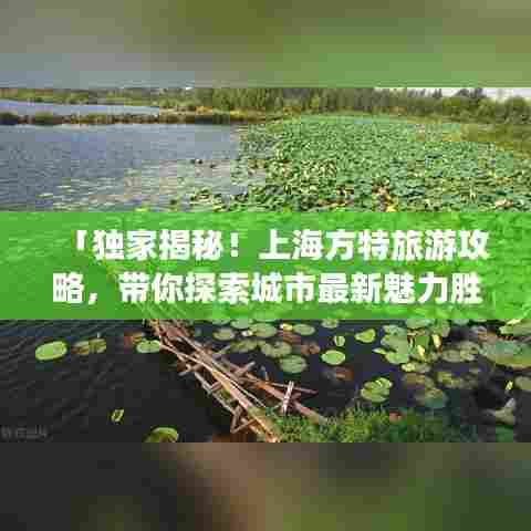 「独家揭秘!上海方特旅游攻略,带你探索城市最新魅力胜地」