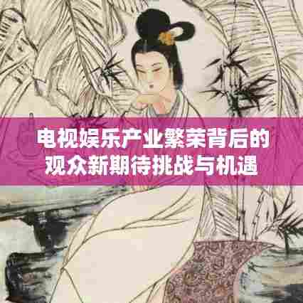 电视娱乐产业繁荣背后的观众新期待挑战与机遇