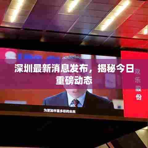 深圳最新消息发布，揭秘今日重磅动态