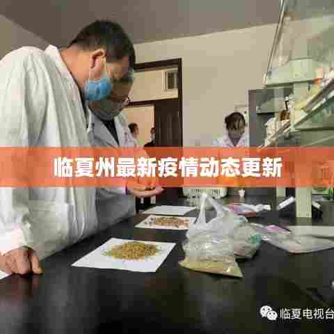 临夏州最新疫情动态更新