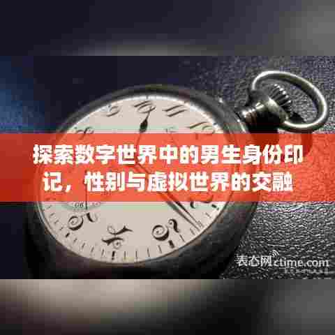 探索数字世界中的男生身份印记，性别与虚拟世界的交融