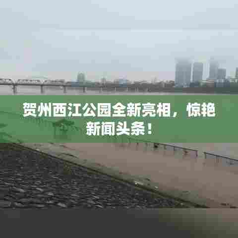贺州西江公园全新亮相,惊艳新闻头条!