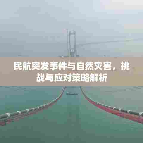 民航突发事件与自然灾害，挑战与应对策略解析