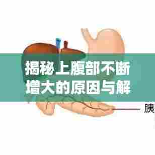 揭秘上腹部不断增大的原因与解决方法