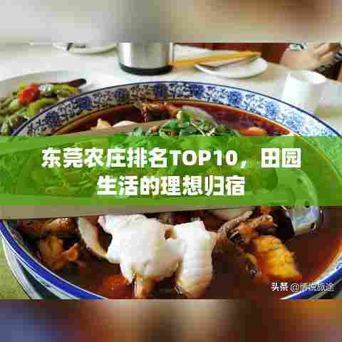 东莞农庄排名TOP10，田园生活的理想归宿