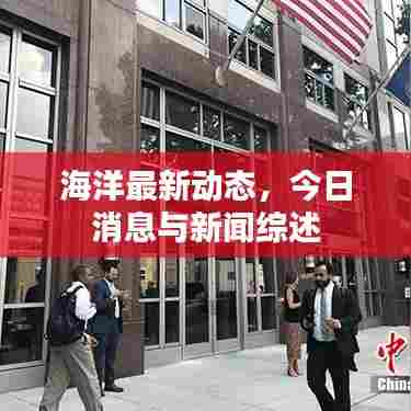 海洋最新动态，今日消息与新闻综述