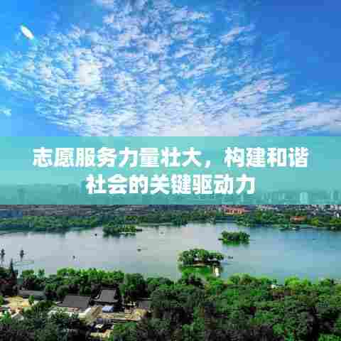 志愿服务力量壮大,构建和谐社会的关键驱动力