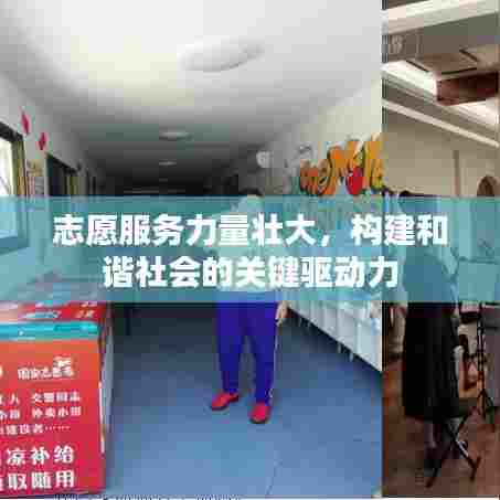 志愿服务力量壮大,构建和谐社会的关键驱动力