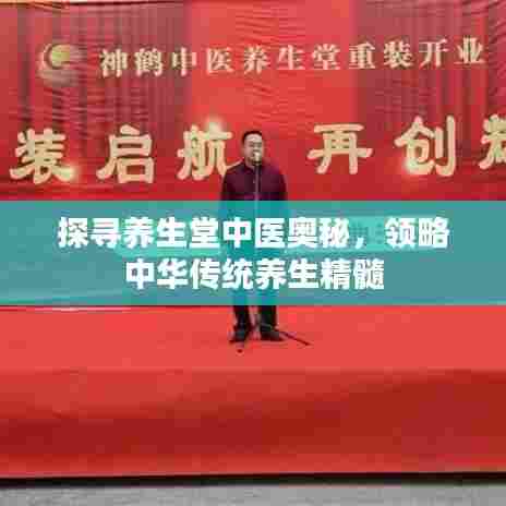 探寻养生堂中医奥秘,领略中华传统养生精髓