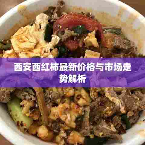 西安西红柿最新价格与市场走势解析