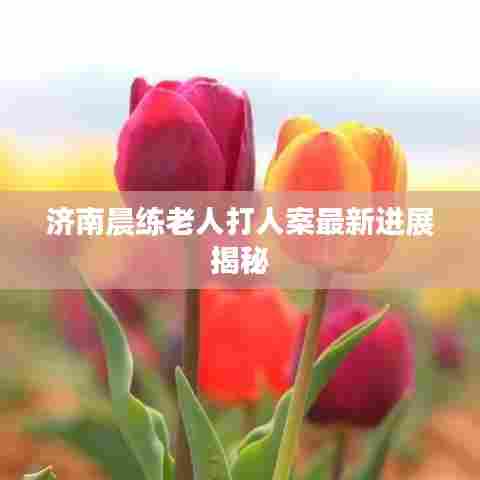 济南晨练老人打人案最新进展揭秘