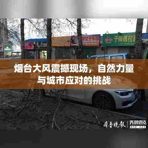 烟台大风震撼现场，自然力量与城市应对的挑战