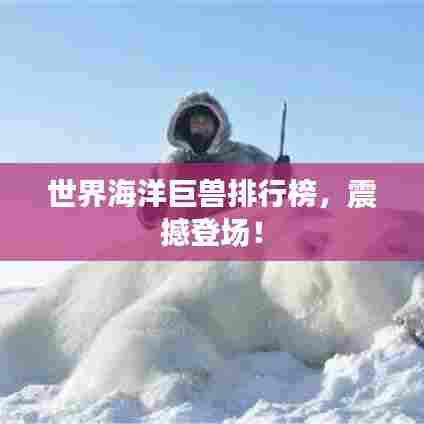 世界海洋巨兽排行榜，震撼登场！