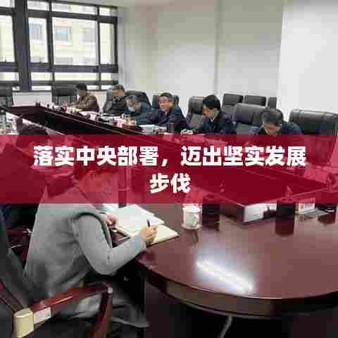 落实中央部署，迈出坚实发展步伐