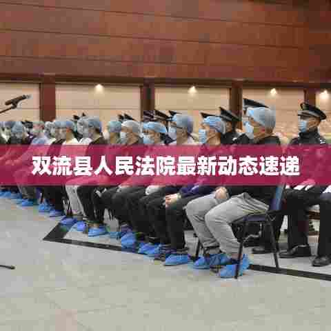 双流县人民法院最新动态速递