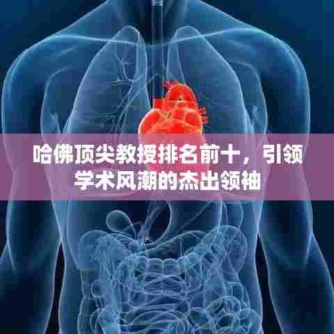 哈佛顶尖教授排名前十，引领学术风潮的杰出领袖