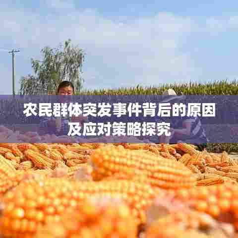 农民群体突发事件背后的原因及应对策略探究
