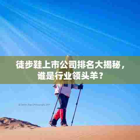 徒步鞋上市公司排名大揭秘，谁是行业领头羊？