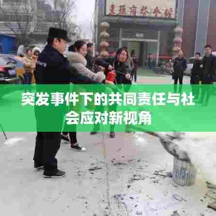 突发事件下的共同责任与社会应对新视角