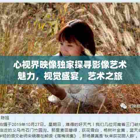 心视界映像独家探寻影像艺术魅力，视觉盛宴，艺术之旅