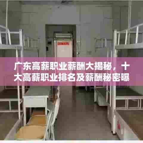 广东高薪职业薪酬大揭秘，十大高薪职业排名及薪酬秘密曝光！